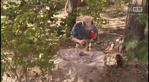 Andys_Wild_Adventures_S01E09_Capuchin_Monkey