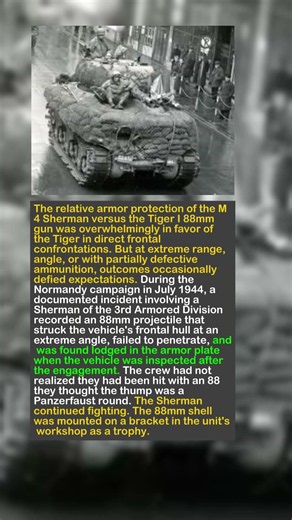 The Sherman That Ate a Tiger's Shell — And Refused to Die