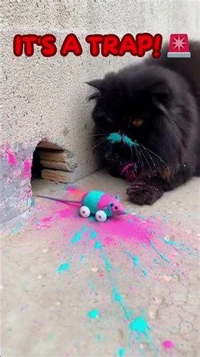 The Mouse set a TRAP! 🧠🧀 Smartest Mouse vs Curious Cat