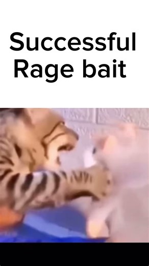 Successful rage bait