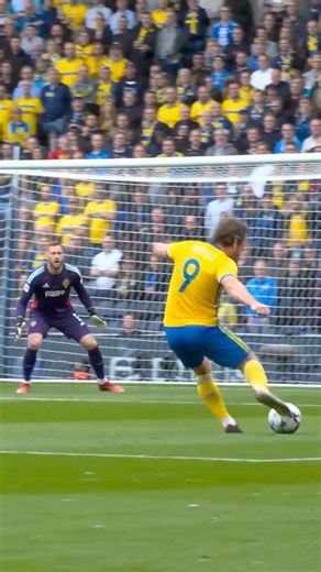 1-0 🇸🇪 | Short 270 | #subscribe #worldcup #soccer #swede