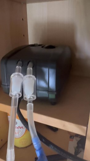 Is this right? EHEIM Today i bought the Eheim 400 airpump and it has a very annoying noise Anyone else have this model ? Does yours make this horrible noise? | Dean Hughes