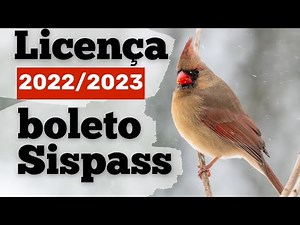 How to Issue a Sispass 2022/2023 Payment Slip Correctly