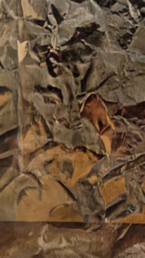 #OnThisDay, Brenda’s album of timeless pop standards, ‘Sincerely’, debuts with unforgettable performances full of raw emotion. Which song is your favorite? | Brenda Lee