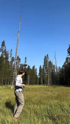 The art of the sling shot on full display. This tutorial demonstrates how to train to become quite proficient at executing with tremendous speed, skill, and accuracy.