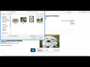 Part 5 InceptionV3 Model With ImageNet To Classification 1000 Classes