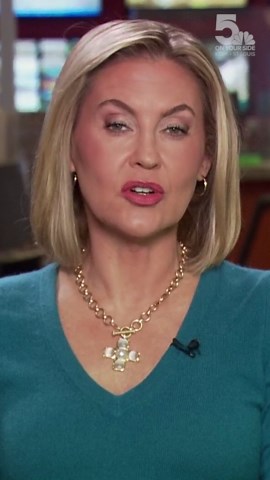 Downtown St. Louis entertainment district to deploy mounted police force starting next year