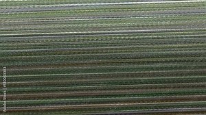 Abstract corrupted digital video effect with strokes and lines. Colored noise.