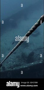 Vertical Video: Cinematic View of the USCG Duane Shipwreck in Key Largo, Florida Keys