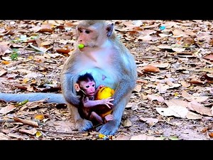 First Day of Jazzy’s Newborn Baby Javi — Looking Absolutely Gorgeous