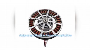 RG SP3505-8 24V Brushless Pancake Servo Motor 0.67N.M for Robot Arm Permanent Magnet Construction