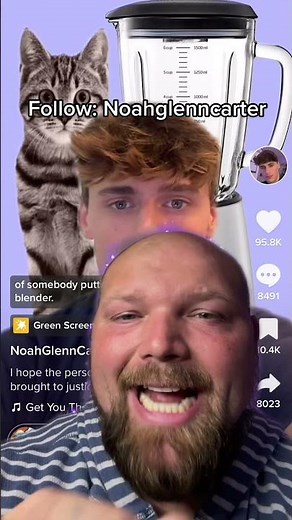 CAT IN BLENDER VIDEO!!!!