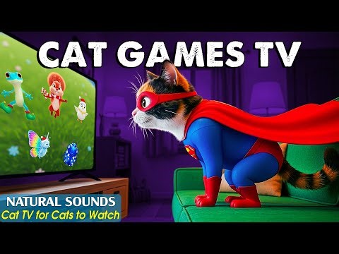 Interactive Cat TV－ON SCREEN CAT GAMES for Curious Cats😸Fun Video for Cats to Watch With Real Sounds
