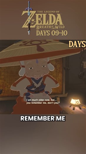 RootDrew on Instagram: "Days 9-10 in Breath of the Wild #zelda #breathofthewild #thelegendofzelda #botw"