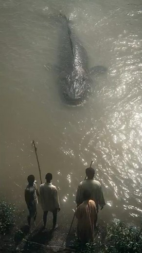 Colossal Goliath Tigerfish Caught on Camera in Congo