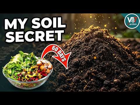 Simple Ways to Turn Kitchen Waste into Compost at Home | Composting Progress Update