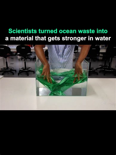 Innovative Use of Shrimp Shells in Biodegradable Materials