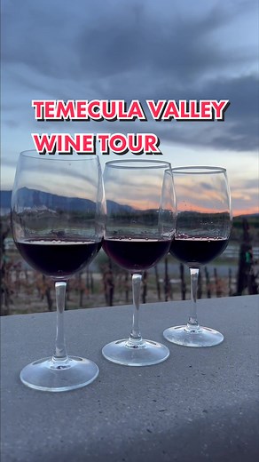Temecula Valley Wine Tour Experience
