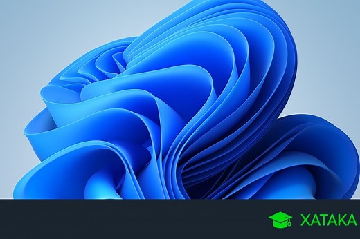 Descarga los fondos de pantalla de Windows 11