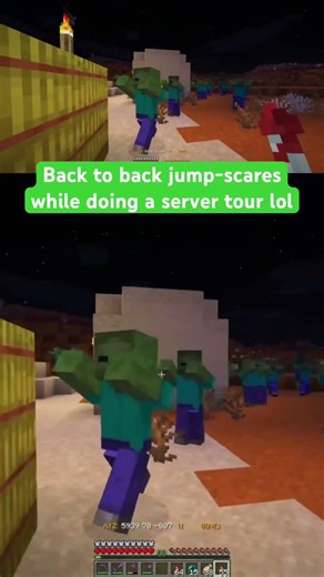 #minecraft #jumpscare #minecraftshorts #smp #tour
