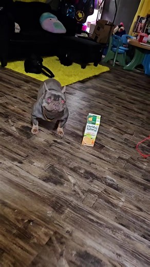 Start Your Day Right with Orange Juice