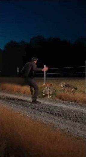 UPS driver saves dog from wild coyotes