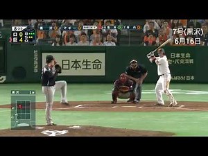 2017年 マギー全本塁打