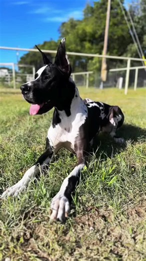 Collectedcanter on TikTok