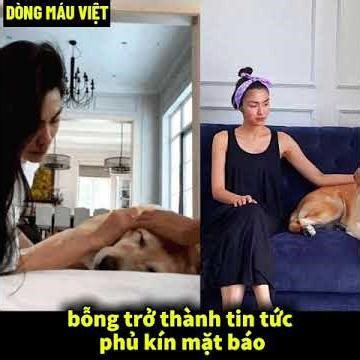 Could you journalists please leave us alone?