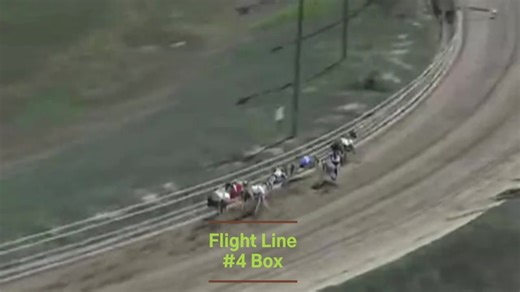 🏃‍♀️ FLIGHT LINE TAKES FLIGHT AT WHEELING ISLAND! 🏃‍♀️ What a performance from this rising star! On September 11th, brindle beauty Flight Line absolutely dominated the Grade B field, blazing to victory in a scorching 29.48 from the #4 post position. She didn't just win - she left the competition in a different zip code! 🔥 At just 21 months old, this superstar daughter of SH Avatar x Intrigue (Whistler's Wrath/Soft Melody dam line) is proving she's something special. With only five career star