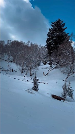 Snow kiss ❄️❄️ #mountains #travel #nature #snow #adventure