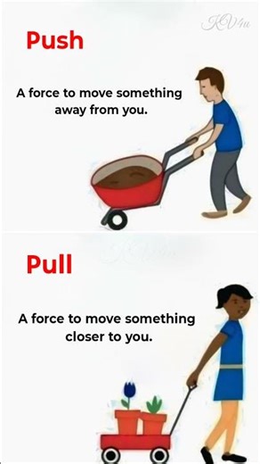 Force & Motion #physics #force #motion