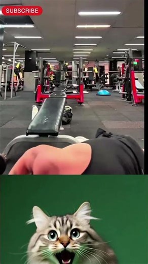 Gym Fails That Will Make You Laugh 😂💀 | Epic Workout Mistakes #shorts