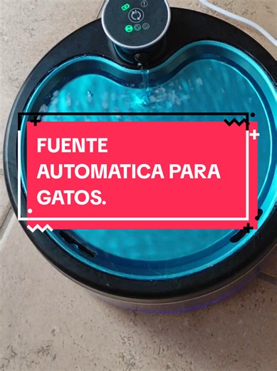 Fuente automática para gatos: cómo elegir la mejor