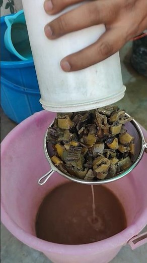 Banana Peel Water for Plants | Best Organic Fertilizer for Fast Growth