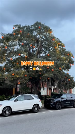 Happy Halloween from The Beach. 👻🎃 May your treats be full-size and your costumes not too scary! | Visit Myrtle Beach, South Carolina