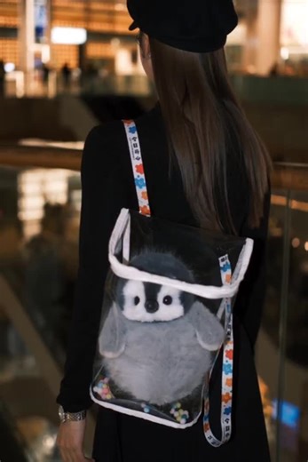 Adorable Baby Penguin Moments