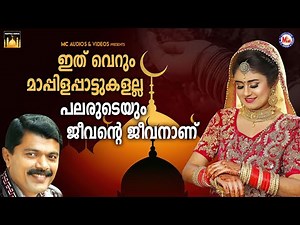 ഇത് വെറും മാപ്പിളപ്പാട്ടുകളല്ല പലരുടെയും ജീവൻ്റെ ജീവനാണ് | Mappila Pattukal |Mappila Songs