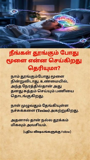 What Your Brain Does While You Sleep 🧠😴 #shorts