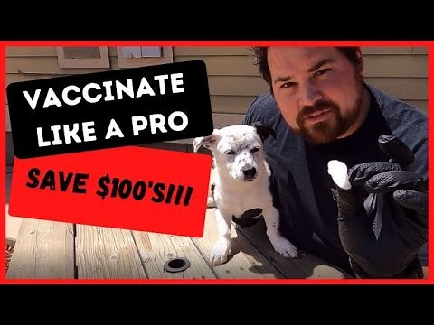 Spectra 5 Puppy Vaccine