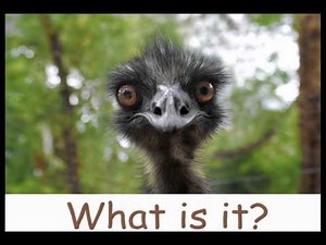 Nursing Home Activities: Fun for Seniors