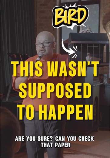 Unexpected Comedy Magic with Dinosaurs and Birds