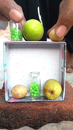 Last Color Standing Wins! Girls vs Boys