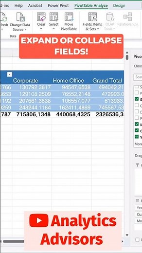 Expand or Collapse fields in Excel Pivot Table #shorts