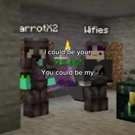 Funny Parrot Singing Compilation Videos