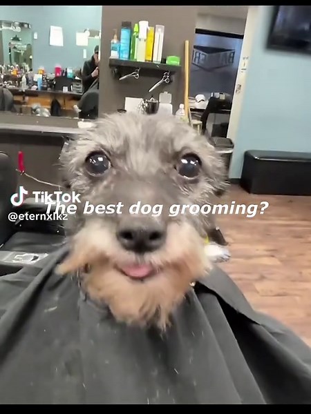 Montagem Butterfly Effect: Over Slowed Reverb Experience