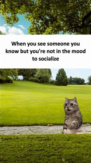 Humans are "deleting" each other [OTCat]