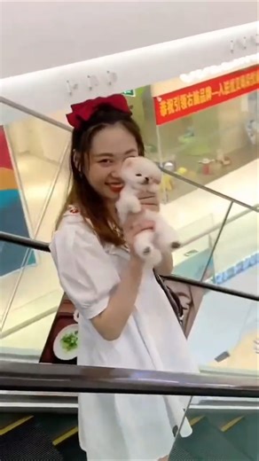 All My Pets, One Big Hug#Caught with a Handf...#All My Pets, One BigHug#Caught with a Handful