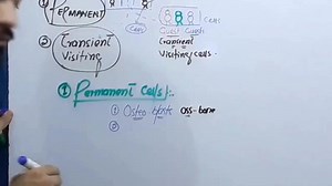 Cells of Connective Tissue. To watch full lecture visit the given link and subscribe the channel. https://youtube.com/c/Toplesson4u | Up Teaching Academy