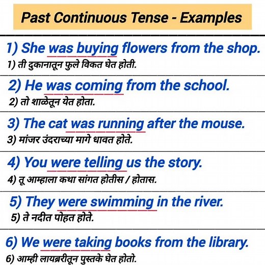 past continuous / progressive tense examples
